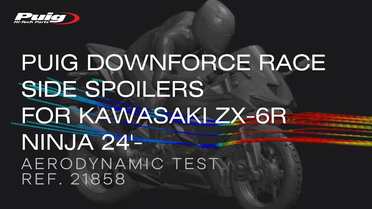 Race Side Spoilers - Puig Hi-Tech Parts
