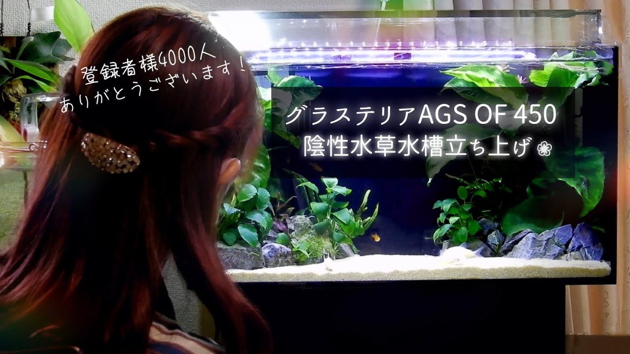 GEXグラステリアAGS-OF-450 陰性水草水槽立ち上げ！アクアリウム❀淡水