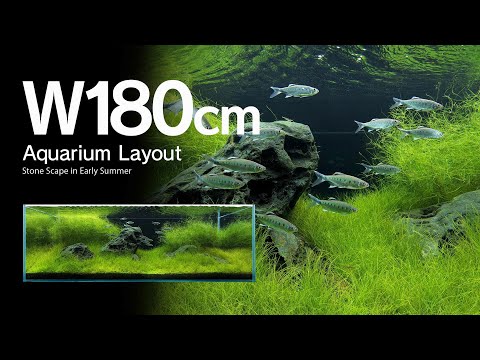 ADAview] Stone Scape in Early Summer 初夏の石景 -W180cm Aquarium
