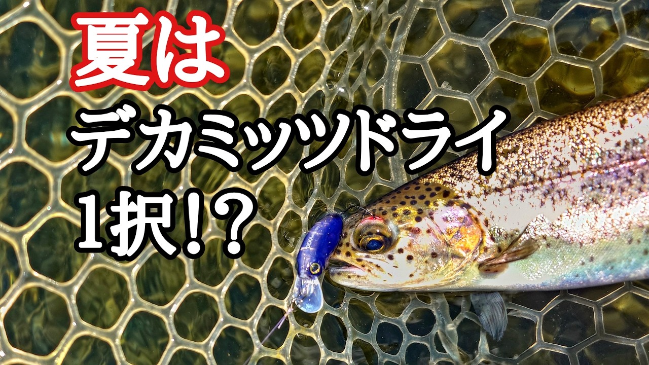 デカミッツドライ縛りで挑む夏のエリアトラウト！フライフィッシャーが