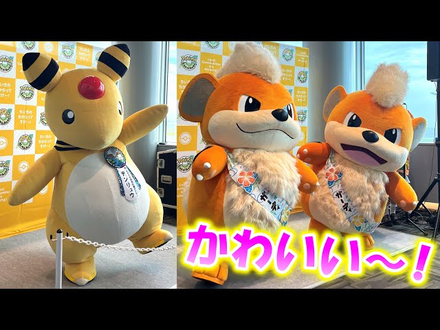 デンリュウとガーディが撮影会に登場 「ポケモンローカルActs in 羽田