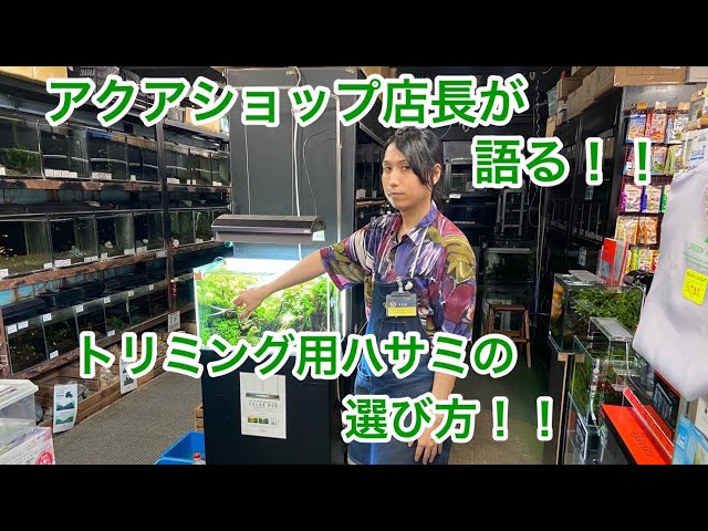 水草トリミング用ハサミの選び方とおすすめのハサミ - YouTube