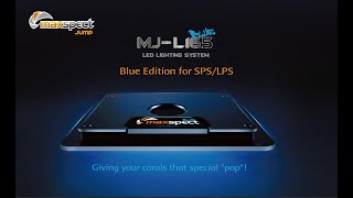 Maxspect Jump L165 Blue Review - YouTube