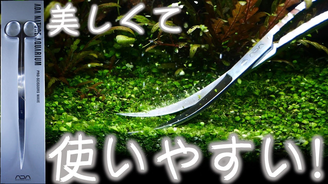 はさみ】不器用でもADAのハサミを使いこなせるのか検証してみた