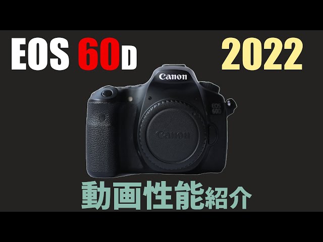 初心者オススメ❣️ Canon EOS 60D✨ 高速連射 動画撮影 一眼レフ 本格