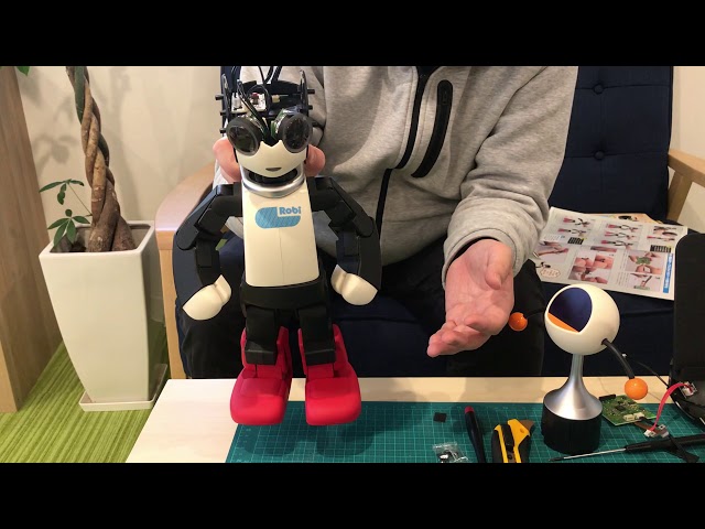 週刊ロビ2」77号 ロビ全身の動きのテスト - YouTube