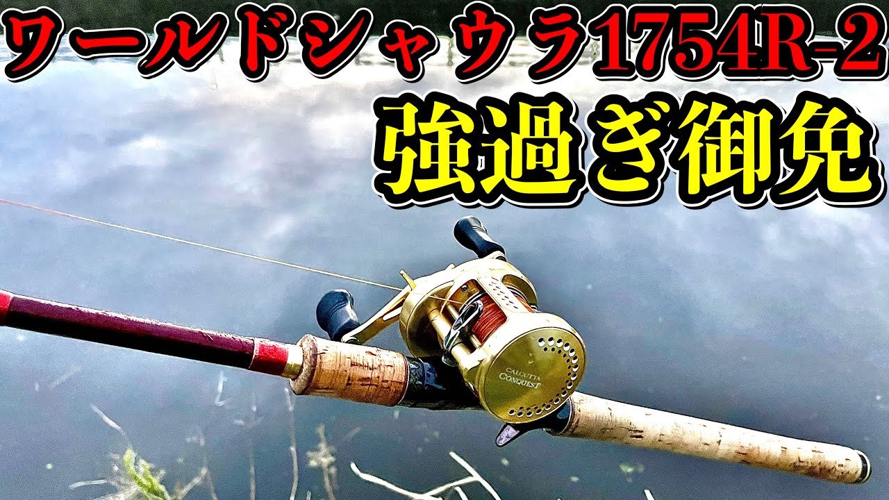 ワールドシャウラ1754R-2の精度と強度で挑むナマズ・雷魚ハント - YouTube