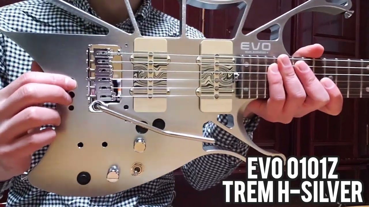 新しいギターを購入しました！『EVO 0101z Trem H-Silver