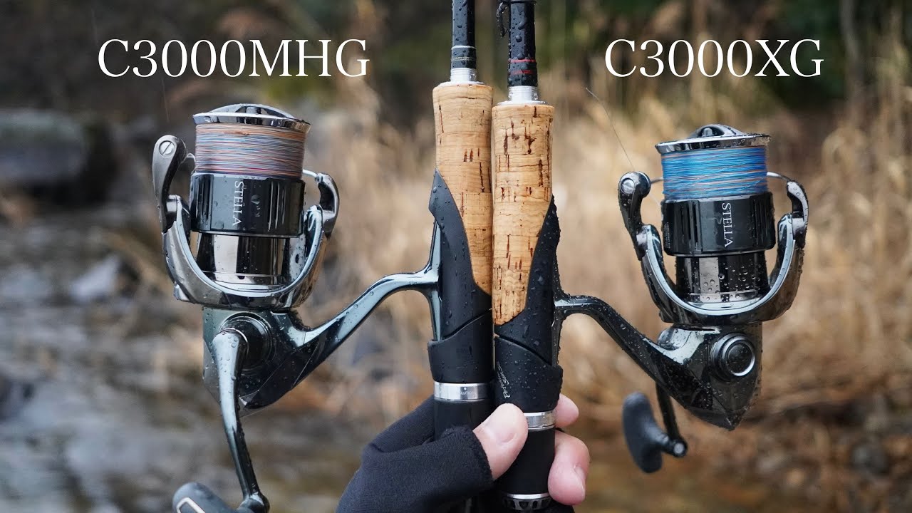 22ステラ C3000MHG 【公式通販】