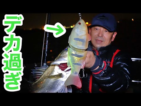 嘘だろバイト連発！デプス「コードネームバスF」最新フローティング