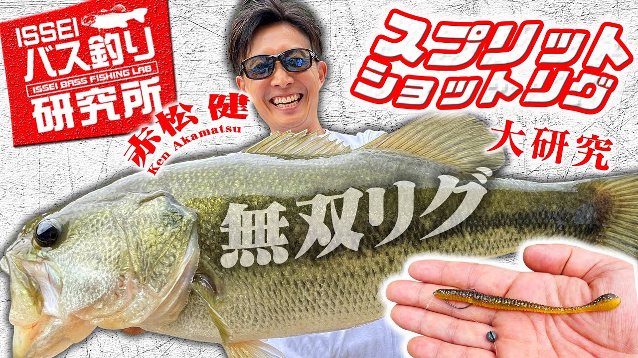 ISSEI Bass Fishing Research Institute] Split Shot Rig Research