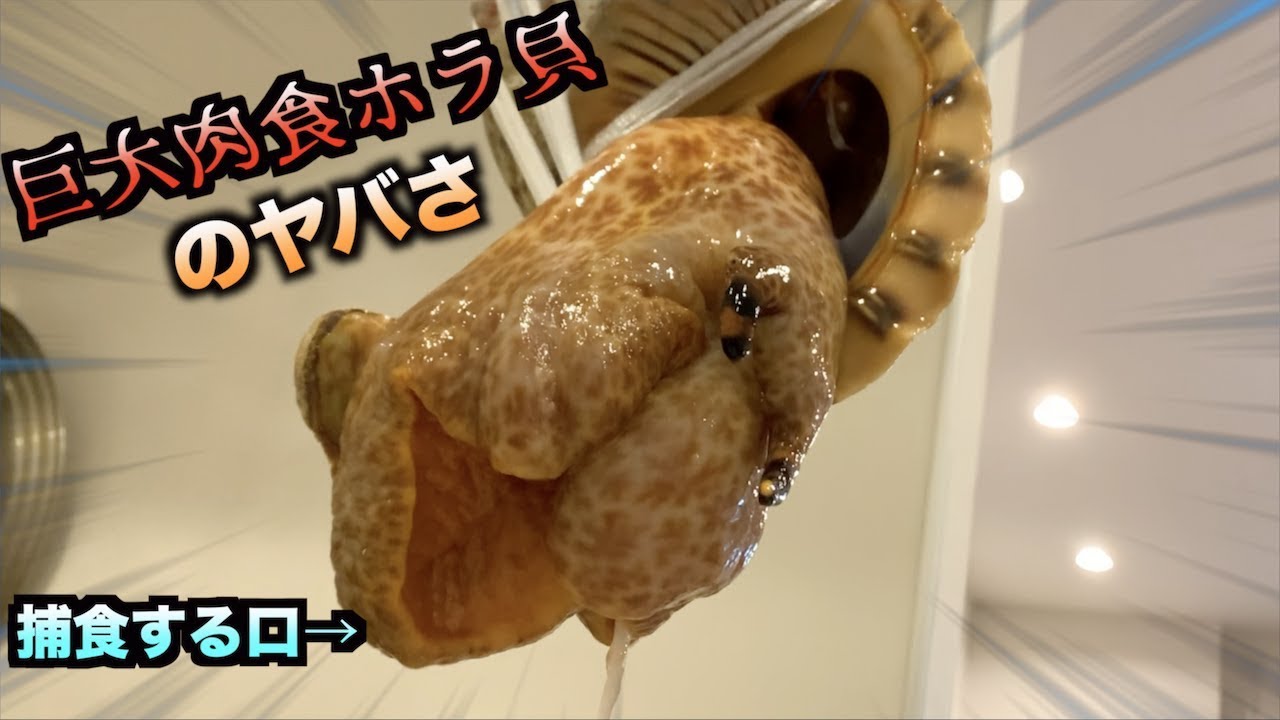 I was able to capture the moment when the disgustingness of the