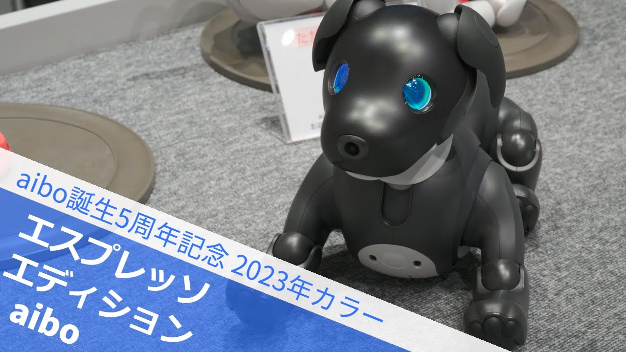 sony aibo ERS-1000 希少カラーのチョコエディション【値下げ】 sony