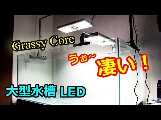 満足度が凄い！大型水槽には吊り下げLED！ [ Grassy Core ] 紹介設置