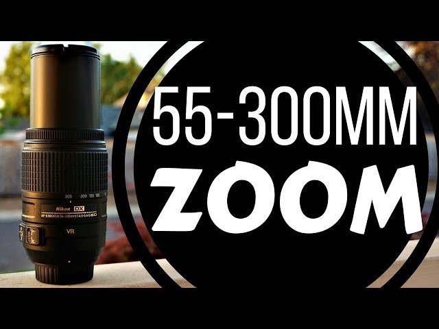 AF-S DX NIKKOR 55-300mm f/4.5-5.6G ED VR Lens Review | Nikon D7500