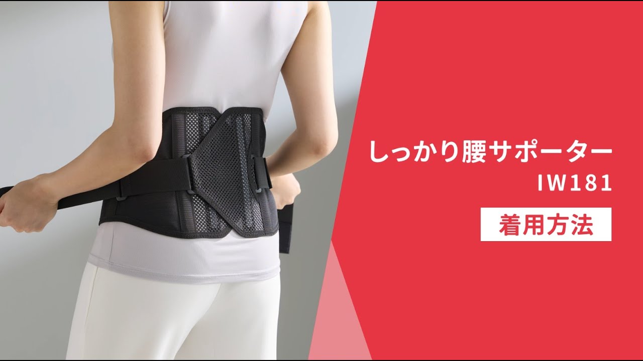 しっかり腰サポーター IW181 │ 通販 │ シャルレ ウェブストア