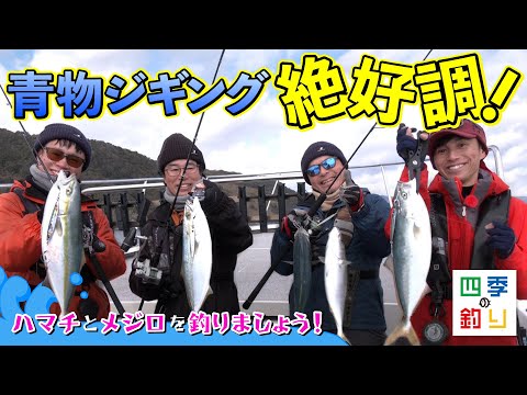 青物ジギング絶好調！ハマチとメジロを釣りましょう！（四季の釣り
