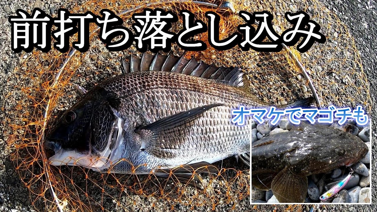 2023年3月黒鯛前打ち落とし込み - YouTube