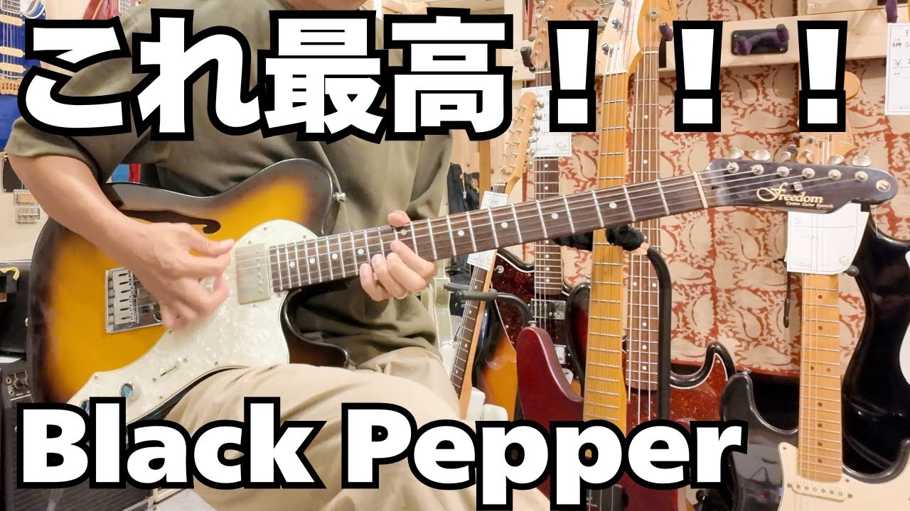funk ojisan] FREEDOM CUSTOM GUITAR RESEARCH Black Pepper 2008
