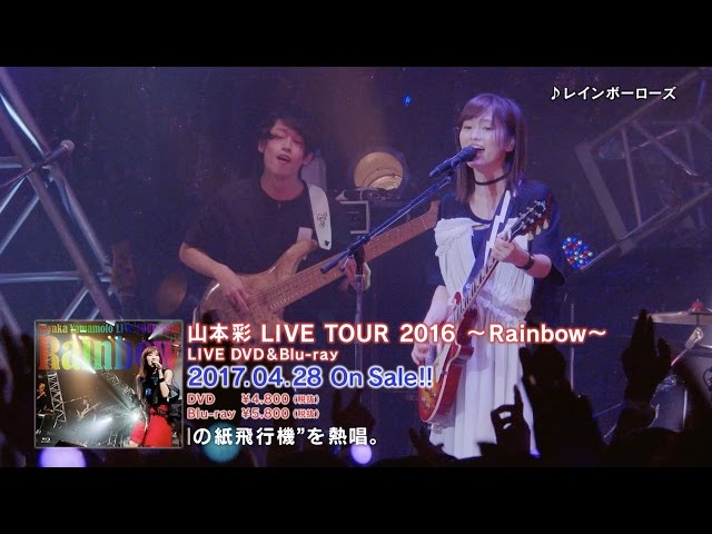山本彩 LIVE TOUR 2016 ～Rainbow～」 [DVD&Blu-ray] - YouTube
