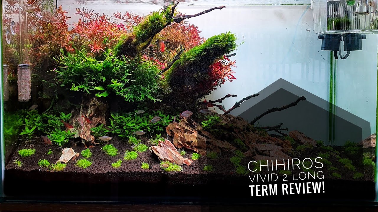 Chihiros vivid 2 long term review - YouTube