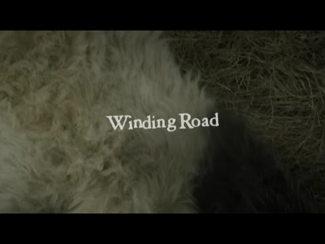 PORNOGRAFFITTI『Winding Road』MUSIC VIDEO - YouTube