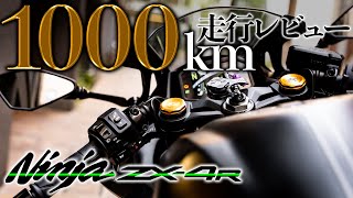 Owner Review] ZX4R Review: 1000km in 2 Months | Impressions