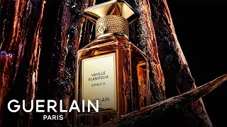 ゲラン】ヴァニーユ プラニフォリア エクストレ 21（ティエリー