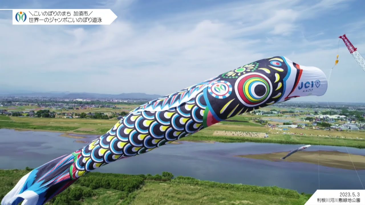 maxresdefault.jpg?sqp=-