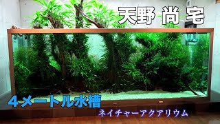 天野 尚 宅 巨大ネイチャーアクアリウム水槽4m アクアの極み 4K動画