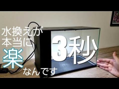 GEX【ラクテリア】RAKUTERIOR水槽買ってきた - YouTube