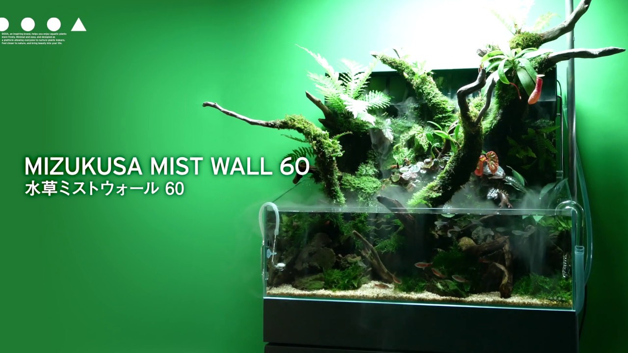 ADAview] 水草ミストウォール 60 - MIZUKUSA MIST WALL 60 - YouTube