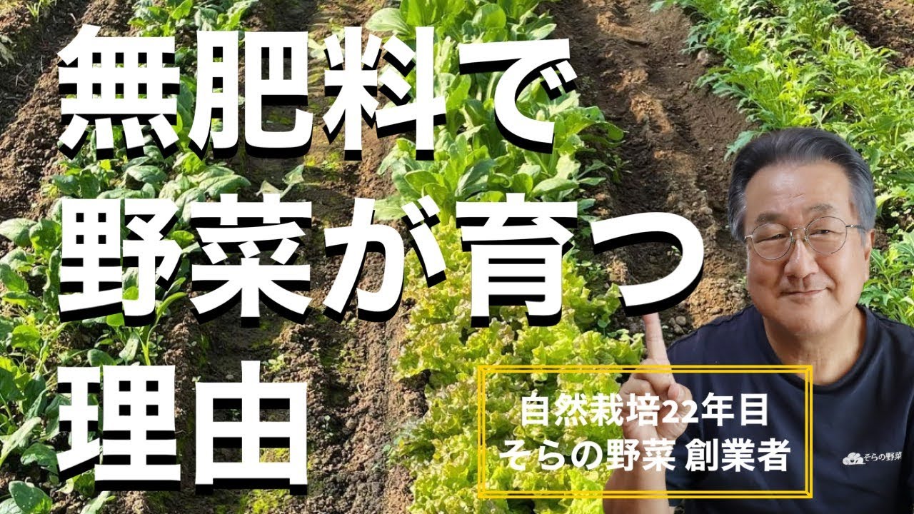 自然栽培】無肥料で野菜が育つ理由を誰よりも分かりやすく説明します