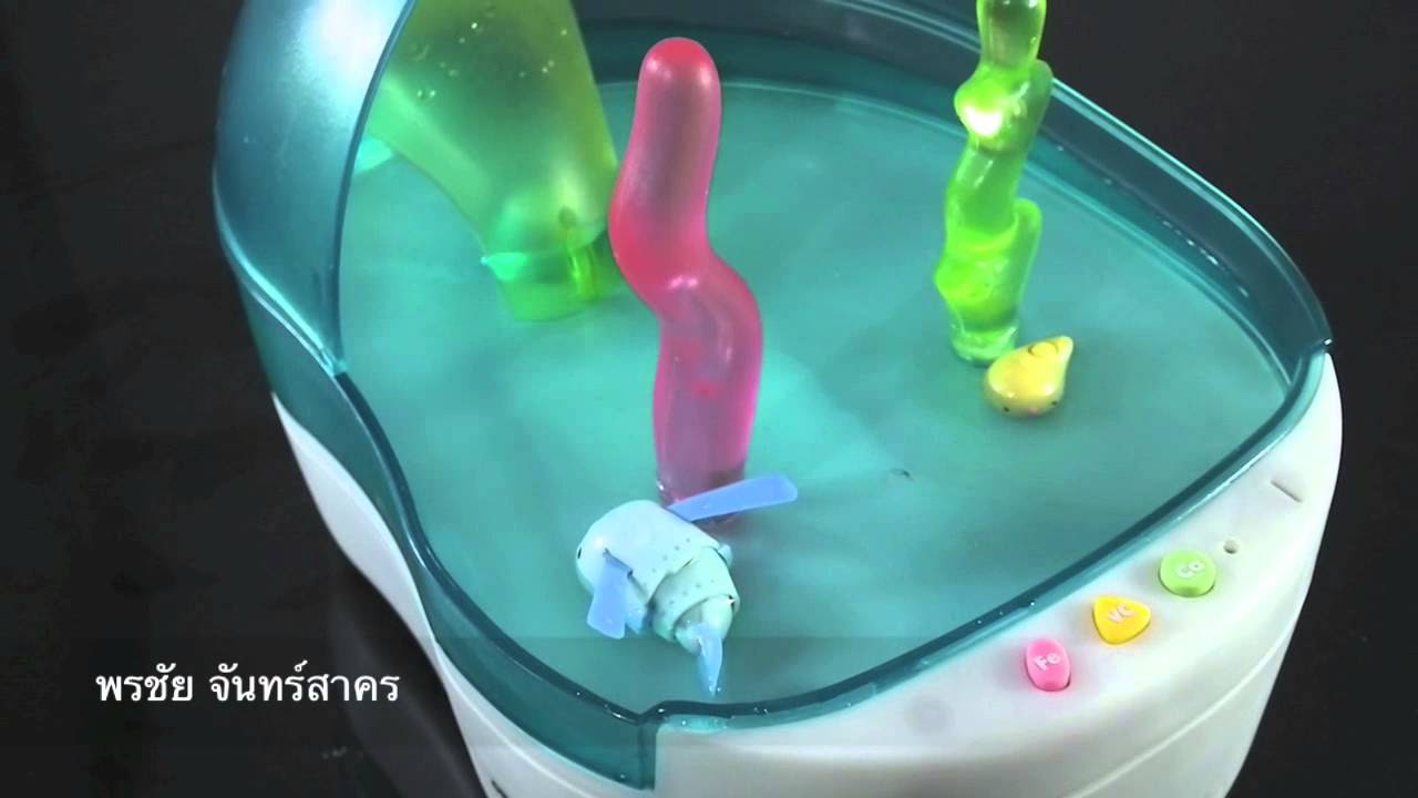 Water looper Mutsu - YouTube