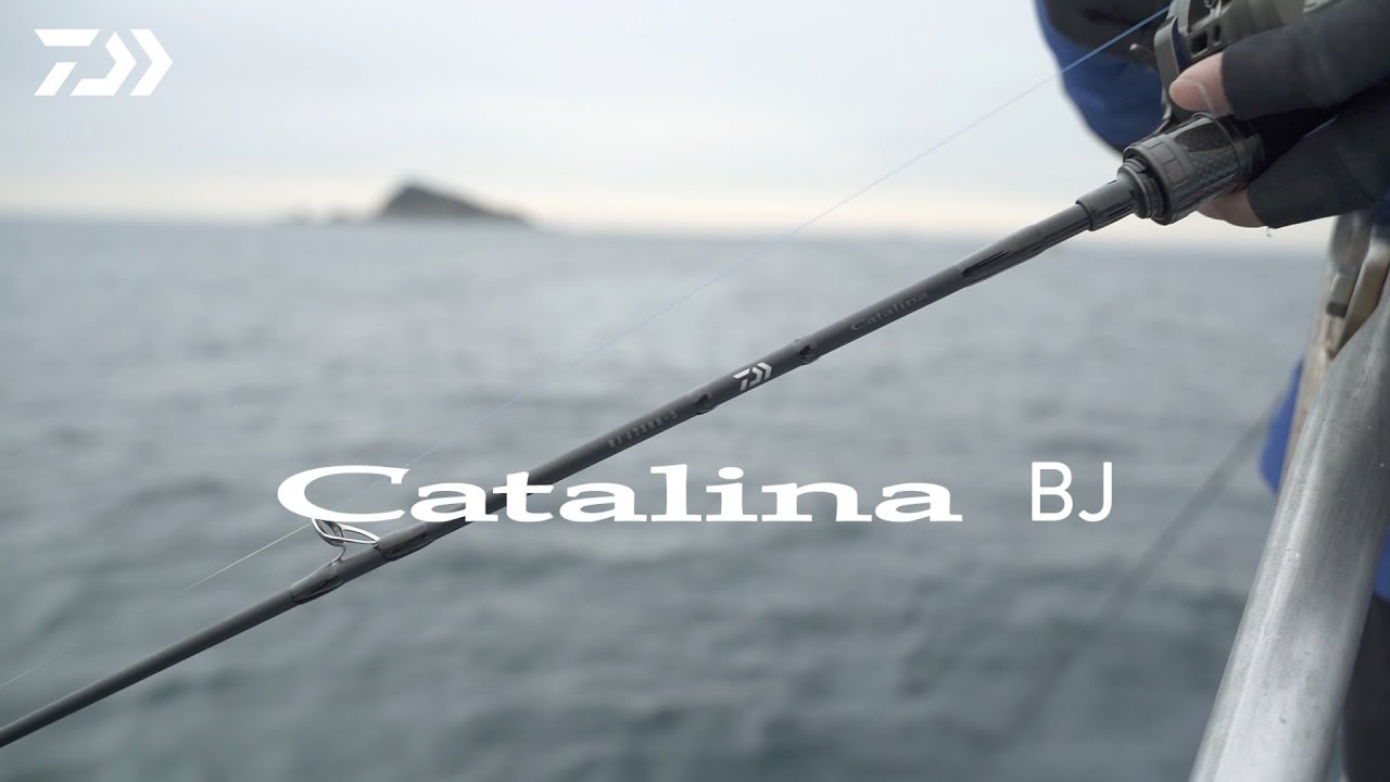 DAIWA CATALINA BJ 64B-3 ジギングロッド(AK) DAIWA CATALINA BJ 64B-3