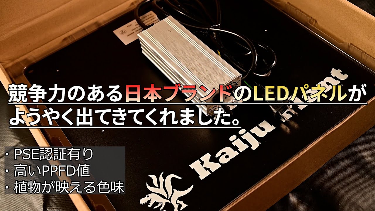 怪獣フレア281,301】植物育成LEDパネルの夜明けぜよ・・・いやほんと