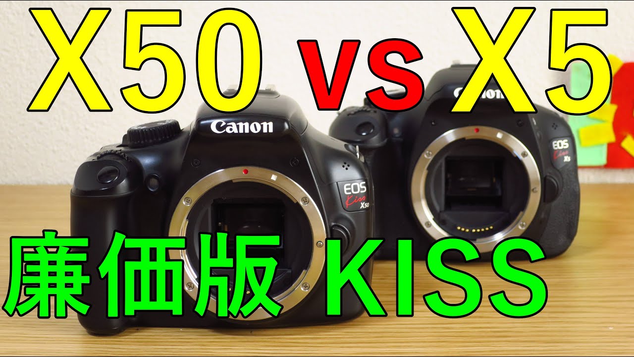 シャッター数少✨️早い者勝ち‼️Canon eos kiss X50 シャッター