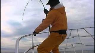 PLAT/carpenter blue chaser blc 80 35 r power max super cobra/rod