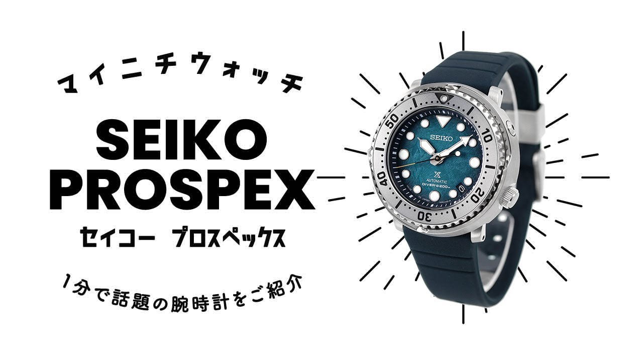 1分動画】#512 陸地から海へ飛び出し、先頭に立つ勇気あるペンギン