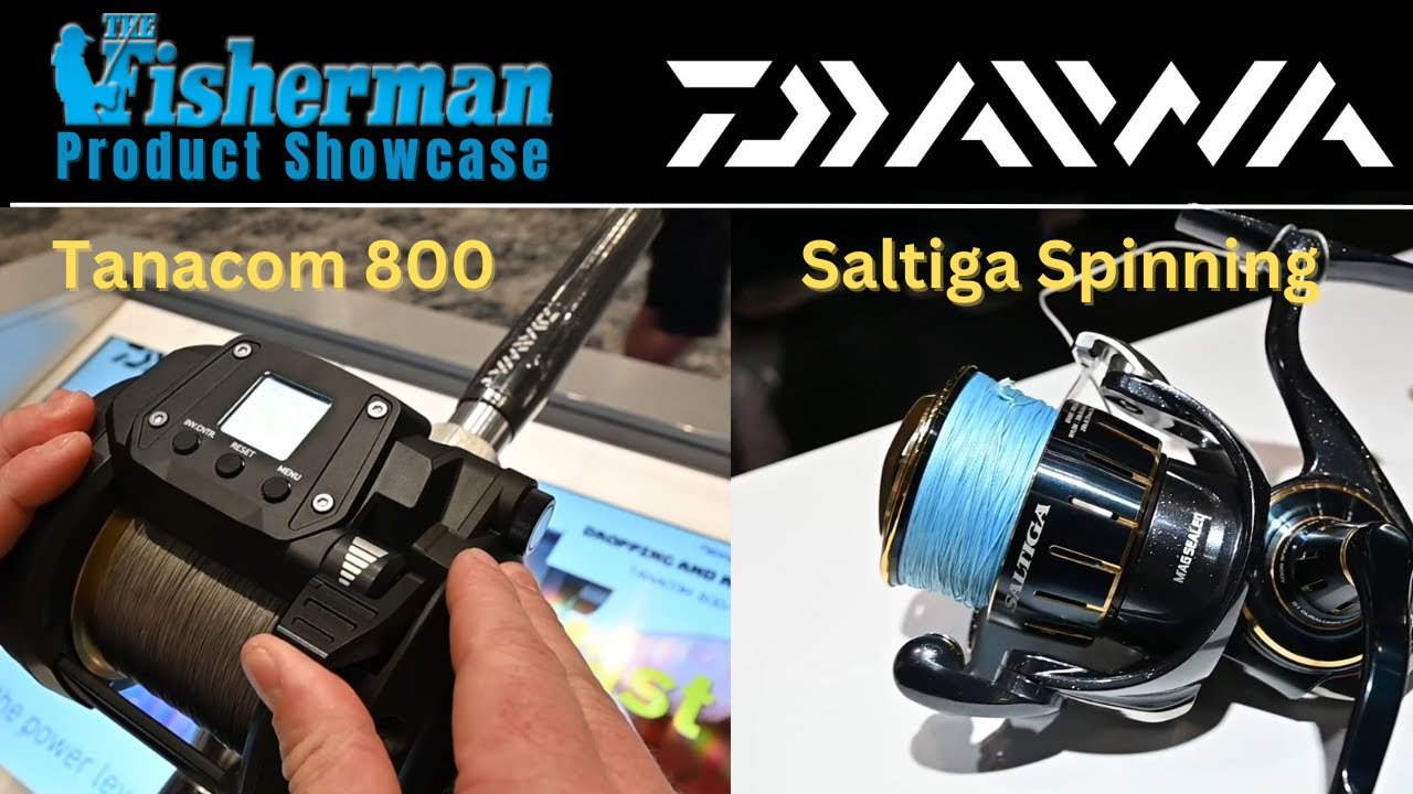 Daiwa Tanacom 800 & Saltiga Spinning Reels - Product Review - YouTube