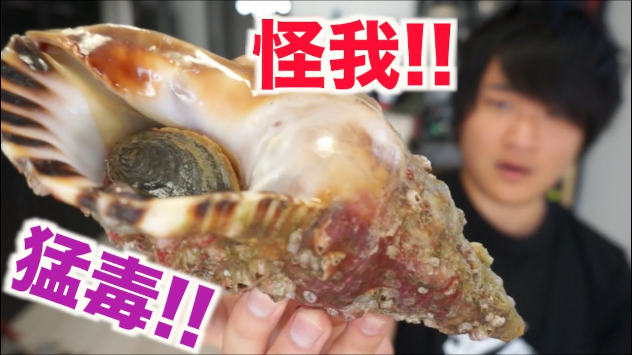 It was a tough fight!! When I tried to cut open the conch shell