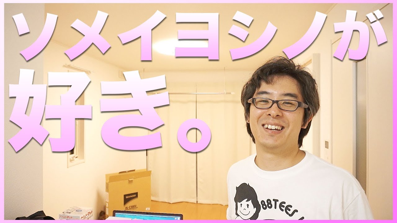 What does a pink room look like?! I tried out Sharp's Sakura color