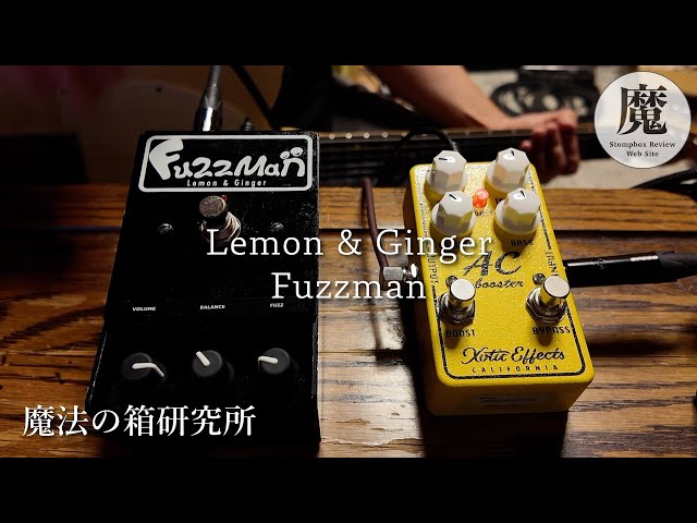 キワモノ系でカッコいいサウンド】手持ちの歪みエフェクターと