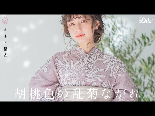 Dita 浴衣胡桃色の乱菊ながれ6点セット