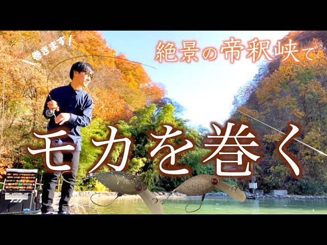 フィッシングエリア帝釈】クランクベイトで釣る秋のエリアトラウト