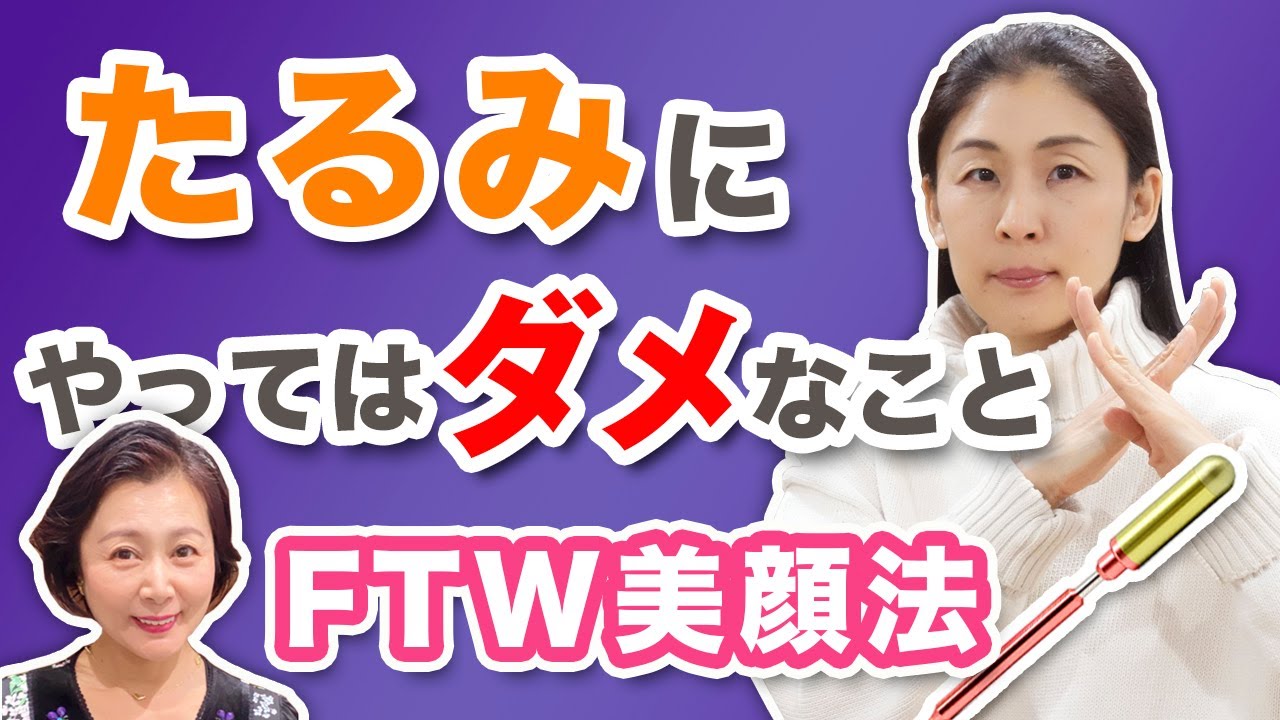 FTW フォーグセット（フラットタイプ）フォーグ2枚、専用袋、マジック