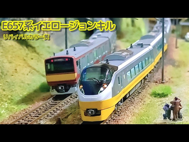 商品】ここまで来たら逝きます！我が家に黄色いE657系電車がやってきた