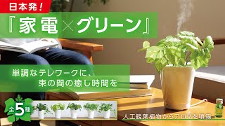 GREEN AROMA MIST/グリーンアロマミスト! まるで植物のようなアロマ