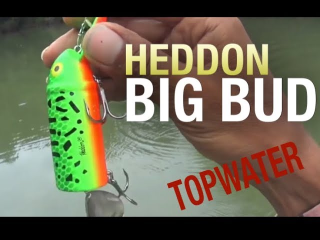 ヘドンルアー ビッグバド|Heddon BIG BUD|トップウォーター へ