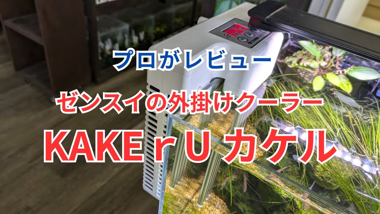 外掛け式クーラー ゼンスイ KAKErU（カケル）をレビュー！ 水槽に